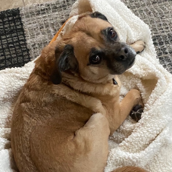 Meet your Posher! - Picture 1 of 1